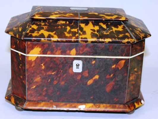 A REGENCY TORTOISESHELL TWO DIVISION TEA CADDY with cut off corners, ivory frame, supported on