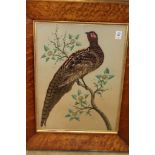 A 19th century feather picture depicting a pheasant on a branch, in a maple frame, together with a