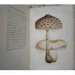 [FUNGI] COOKE, Mordecai Cubitt. Edible and Poisonous Mushrooms:What to Eat and What to Avoid, 8vo,