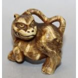 A GOOD JAPANESE MEIJI PERIOD STAG ANTLER NETSUKE OF A TIGER, its head turned backwards, its fur