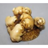 A GOOD QUALITY 19TH CENTURY SIGNED JAPANESE IVORY NETSUKE OF A GROUP OF PUPS, clambering on a hat,