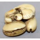 A GOOD QUALITY JAPANESE MEIJI PERIOD IVORY NETSUKE OF A GROUP OF SEASHELLS, two of the clams opening