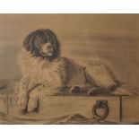 After Edwin Henry Landseer (1802-1873) British. ‘A Distinguished Member of the Humane Society’,