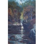 Clarence Henry Roe (1850-1909) A WOODLAND WATERFALL Oil on canvas. Signed. 60cm x 40cm