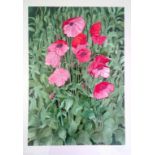 FRAMED WATERCOLOUR – ‘WILD POPPIES IN PROVENANCE’ BY THE BRITISH ARTIST VALERPYE, APPROX. 63 cm X 44