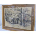 DOUGLAS PITTUCK DEPICTING A FOREST SCENE, CHARCOAL, APPROX. 52 X 36 cm