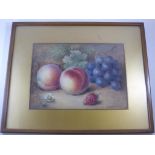 SMALL WATERCOLOUR, STILL LIFE FRUIT, SEABRIGHT (WORCESTER PORCELAIN ARTIST) APPROX. 19 X 14 cm