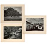 1085  Ansel Adams (1902-1984 Carmel, CA) Three black and white photographs: rocks, creek and oak