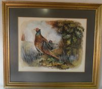 Watercolour of pheasants by Colin Carr 5