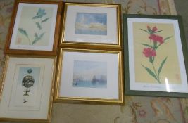 5 framed prints