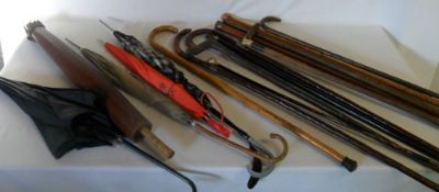 Various walking sticks and umbrellas inc