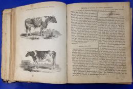 19th cent book 'An Improved System of Ma