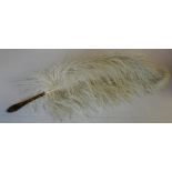 Ostrich Feather Fan