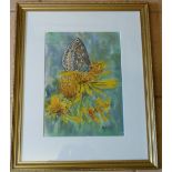 Watercolour of a butterfly by Peter Wood