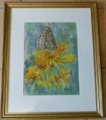 Watercolour of a butterfly by Peter Wood