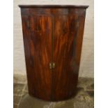 Large Georgian mah. cylinder corner cupboard with internal shaped shelves ht approx. 155cm