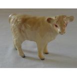 Beswick Charolais calf