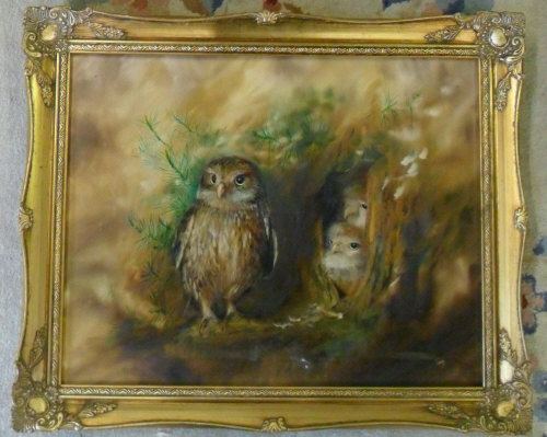 Oil on canvas of owls with signature Tov