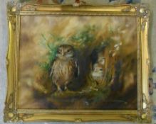 Oil on canvas of owls with signature Tov