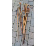 Walking sticks (some with silver collars