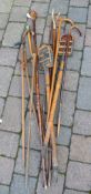 Walking sticks (some with silver collars