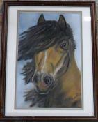 Pastel portrait of a horse entitled 'Lus