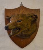 Taxidermy fox mask (fox's head)