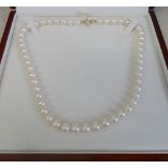 Cultured pearl necklace with 14ct gold c