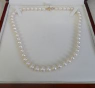 Cultured pearl necklace with 14ct gold c