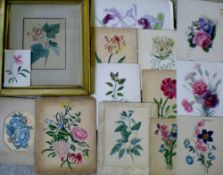 Various Victorian botanical watercolours