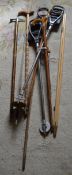 Various walking sticks & shooting sticks
