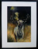 Pastel portrait of a stag by local Linco