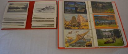 2 red albums of topographical postcards