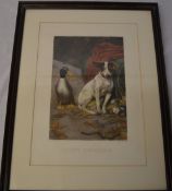 Framed print 'Guilty Conscience'