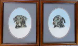 2 watercolour portraits of Labradors by