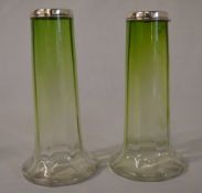 Pair of vases with silver rim