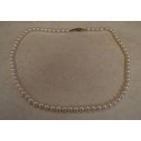 Cultured pearl necklace with a 9ct gold