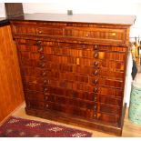 A 19th Century dalbergia specimen/plan chest with projecting top drawer and nine graduated lower