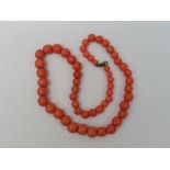 A row of graduated coral-like beads, eac