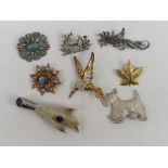 An assortment of brooches (8)