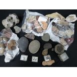 A large collection of fossils, minerals