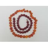 Amber beads; single row of rich honey co