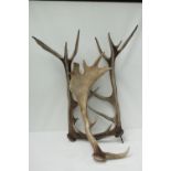 A fine pair of six point deer antlers, u