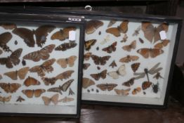 TWO CASED COLLECTIONS OF BUTTERFLIES