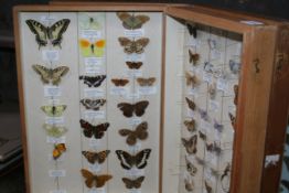 TWO CASED DISPLAYS OF BUTTERFLIES