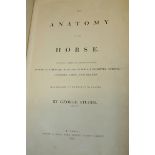 BOOK. GEORGE STUBBS THE ANATOMY OF THE HORSE c 1853 TOGETHER WITH HUNTING WITHOUT TEARS AND OTHER