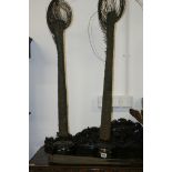 VARIOUS ANTIQUE MOUNTED ELEPHANT TAILS