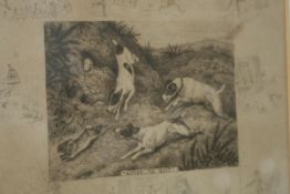 THREE PRINTS OF SPORTING DOGS