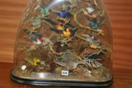 A VICTORIAN TAXIDERMY DISPLAY OF EXOTIC BIRDS