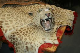 A LEOPARD SKIN RUG WITH MOUNTED HEAD